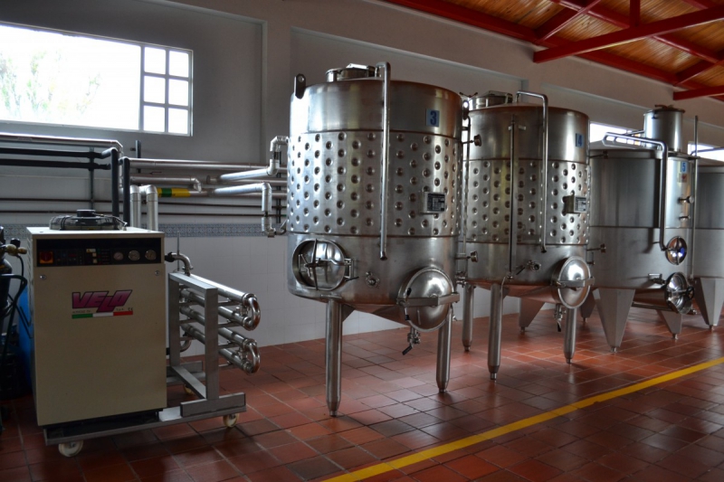 cave-BARJOLS-min_wine_production_cantine_winery_drink_alcohol_vine_beverage-902036